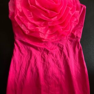 SHEIN Hot Pink rose tube dress